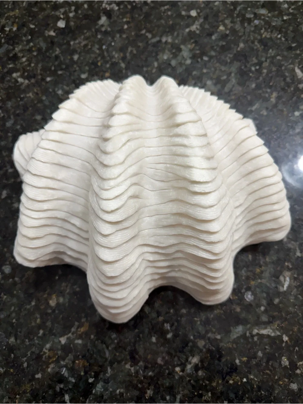 Sculptural White Giant Clam Shell Decorative Bowl Coastal Decor
